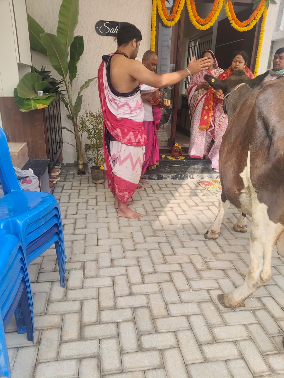 Dhenu Pooja